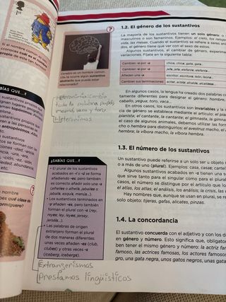 Concepción Arenal 1 ESO. Lengua castellana