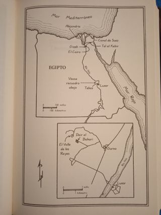 El egiptólogo (novela Arthur Phillips)