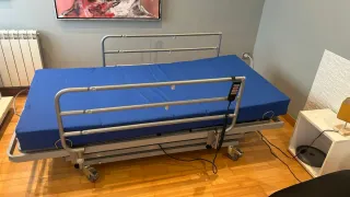 Cama Hospitalaria Articulada Elevador + colchón