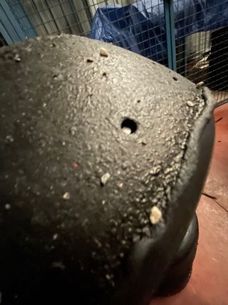 4 Neumáticos Vega 80% de vida útil. compuesto XM4