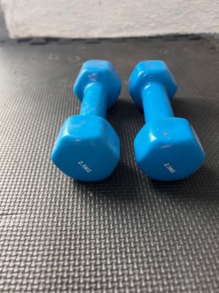 Mancuernas 2.5 kg (Par)