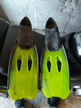 Aletas de natación Delfino