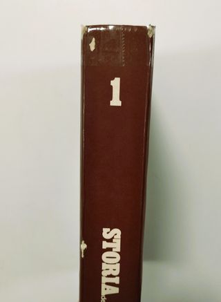 Storia dell'Arte Vol. 1 - Francesco Negri Arnoldi