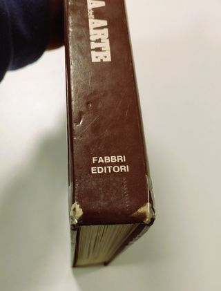 Storia dell'Arte Vol. 1 - Francesco Negri Arnoldi