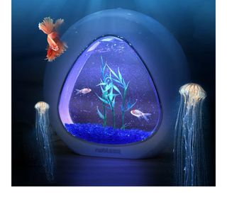 Acuario moderno de escritorio cristal y plástico