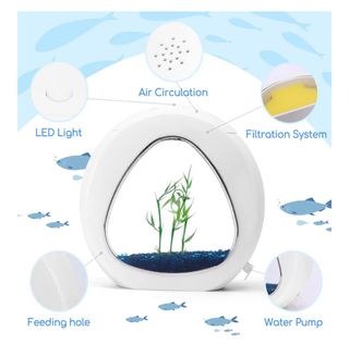 Acuario moderno de escritorio cristal y plástico