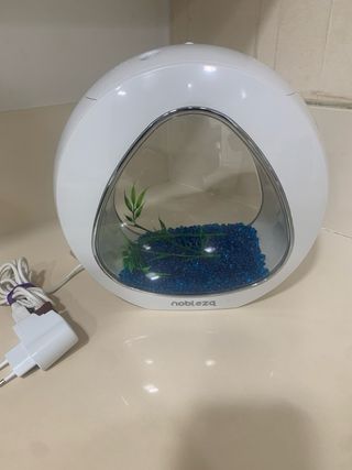 Acuario moderno de escritorio cristal y plástico