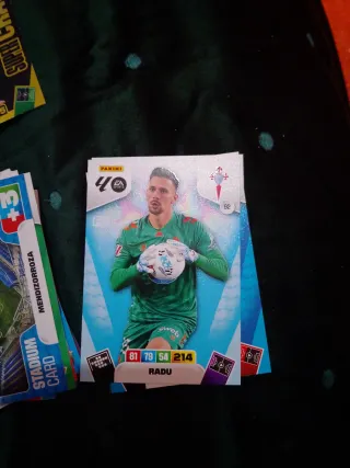 Cromos Adrenalyn XL recoger en delicias ,55 cartas