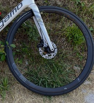 Ruedas Fulcrum Racing 800 + Cubiertas + Camara