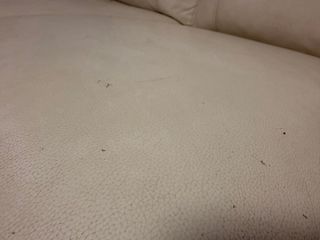 2 Divani Reclinabili in Pelle Beige. 6 posti