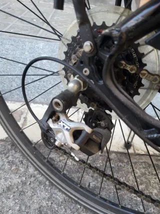 Bici Kalkhoff 24 marchas