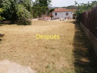 Limpieza de parcelas poda de árboles