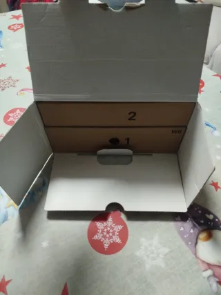 Consola Nintendo Wii