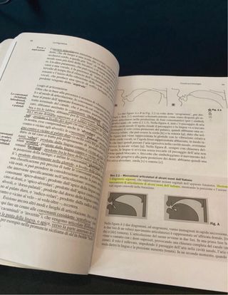 La Linguistica: un corso introduttivo