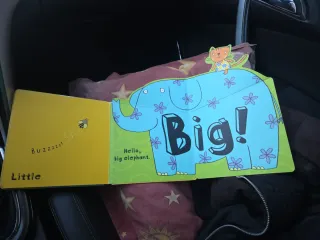 Libro infantil Big A Little Book of Opposites