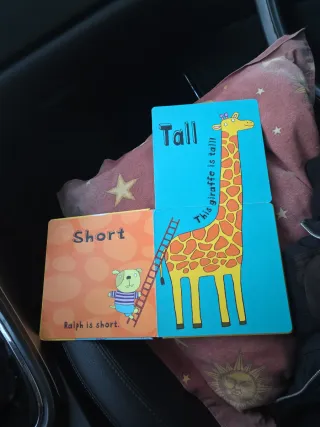 Libro infantil Big A Little Book of Opposites