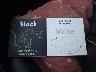 Libro infantil Big A Little Book of Opposites