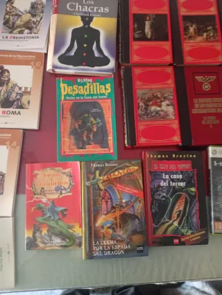 Lote Libros y Videojuegos Colección