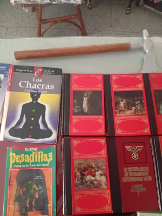 Lote Libros y Videojuegos Colección