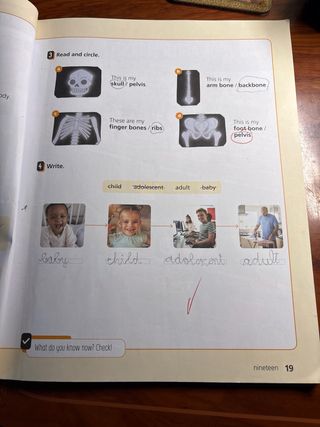 Natural Science 2, Learn Together Student Book ...