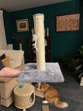 Rascador para gato pequeño