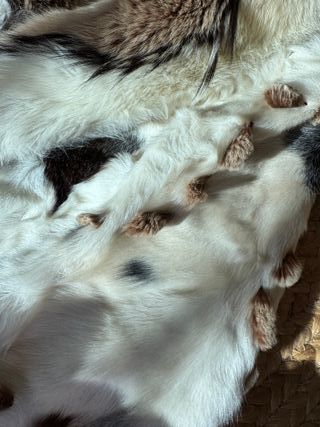 Abrigo de piel natural – estilo fashion