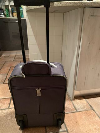 Trolley Roncato Grigio
