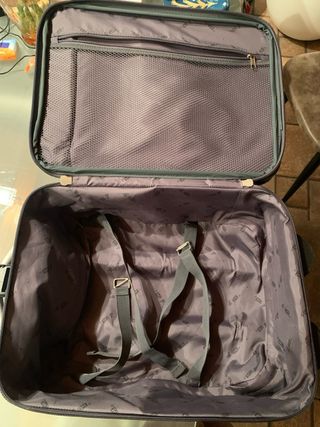 Trolley Roncato Grigio