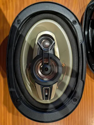 Altavoces Riesen Ovalados