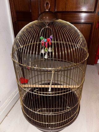 Jaula dorada para pájaros
