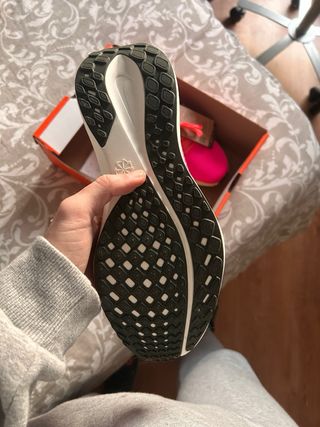 Nike Pegasus 41 Nuevas