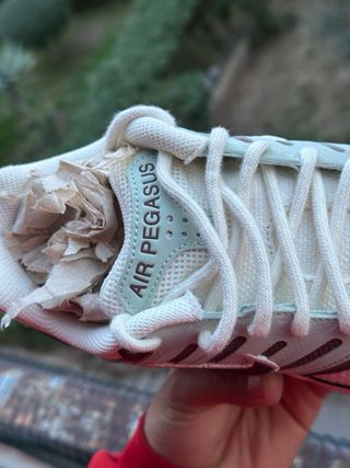 Nike Air Pegasus 2005 SE Talla 41