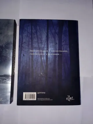 El poder de las sombras (Oscuros 2) (Spanish Ed..