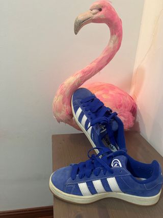 Zapatillas Adidas Campus niño azul