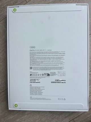 iPad Pro 13 256GB Wifi + Cellular Negro