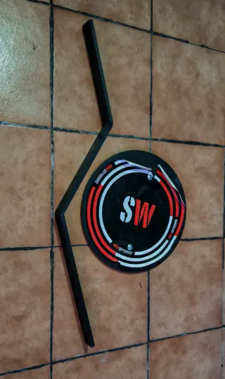 Diana Wallball Singularwod Sin Uso.