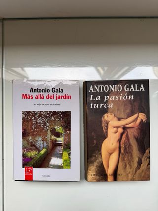 Más allá del jardín (Spanish Edition)
