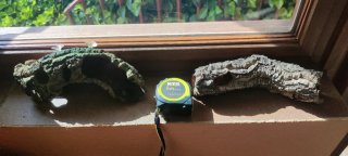 Tronco de alcornoque para acuario