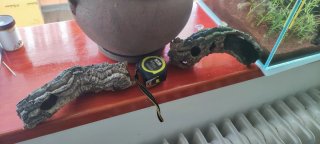 Tronco de alcornoque para acuario