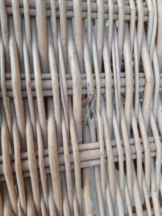 Sillón de mimbre modelo Abuela