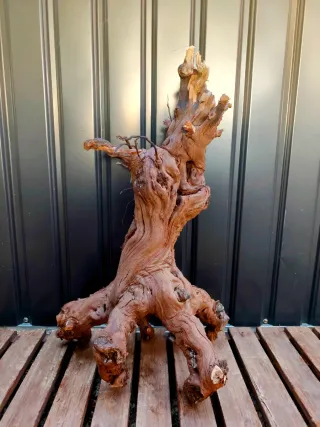 Raíz/tronco Decoración acuario OFERTA SOLO HOY!