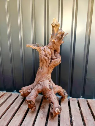 Raíz/tronco Decoración acuario OFERTA SOLO HOY!