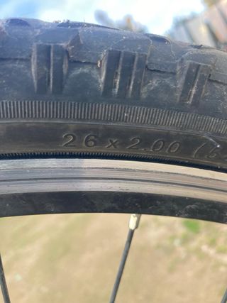 Bicicleta Monty niña rosa