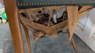 Silla antigua cuero estilo inglés