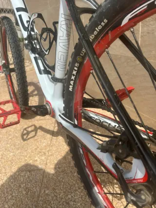 Bicicleta Focus Raven