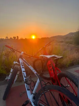 Bicicleta Focus Raven