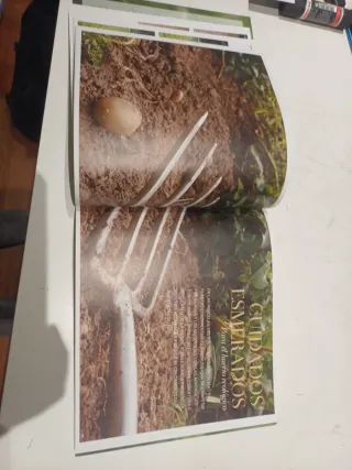 Descubre el huerto biodinámico