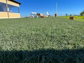 Césped artificial alta calidad