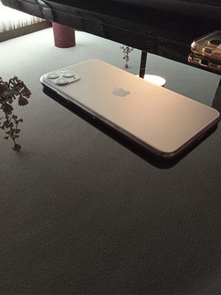 iPhone 11 Pro Max 256GB – Detalles a leer – Funcio