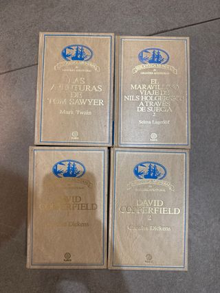 Lote 40 Libros Usados (3 diferentes colecciones)